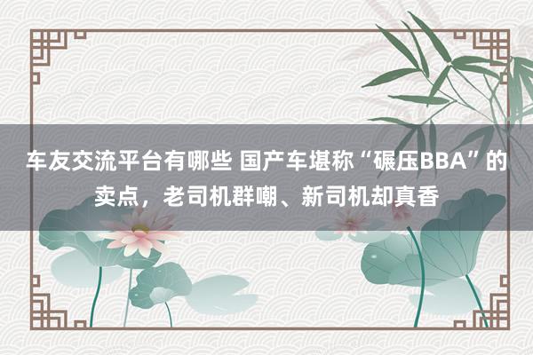 车友交流平台有哪些 国产车堪称“碾压BBA”的卖点，老司机群嘲、新司机却真香