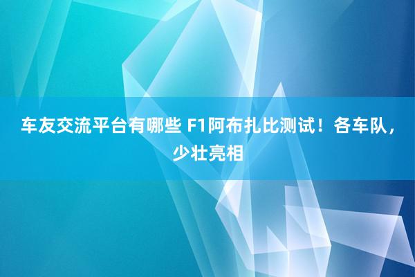 车友交流平台有哪些 F1阿布扎比测试！各车队，少壮亮相