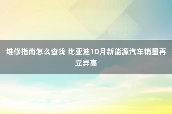 维修指南怎么查找 比亚迪10月新能源汽车销量再立异高