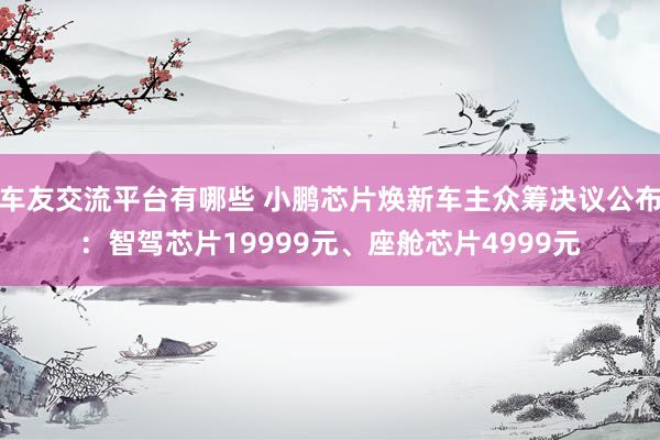 车友交流平台有哪些 小鹏芯片焕新车主众筹决议公布：智驾芯片19999元、座舱芯片4999元