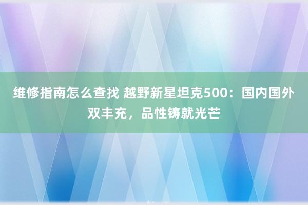 维修指南怎么查找 越野新星坦克500：国内国外双丰充，品性铸就光芒