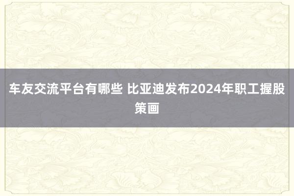 车友交流平台有哪些 比亚迪发布2024年职工握股策画