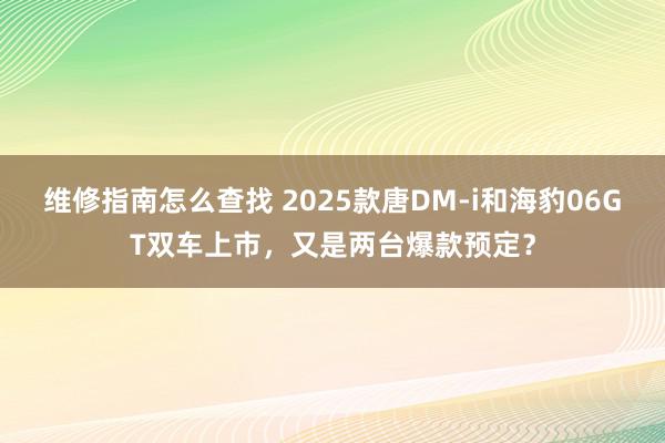 维修指南怎么查找 2025款唐DM-i和海豹06GT双车上市，又是两台爆款预定？