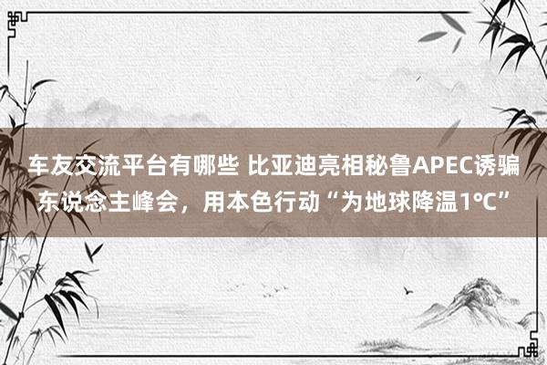 车友交流平台有哪些 比亚迪亮相秘鲁APEC诱骗东说念主峰会，用本色行动“为地球降温1℃”