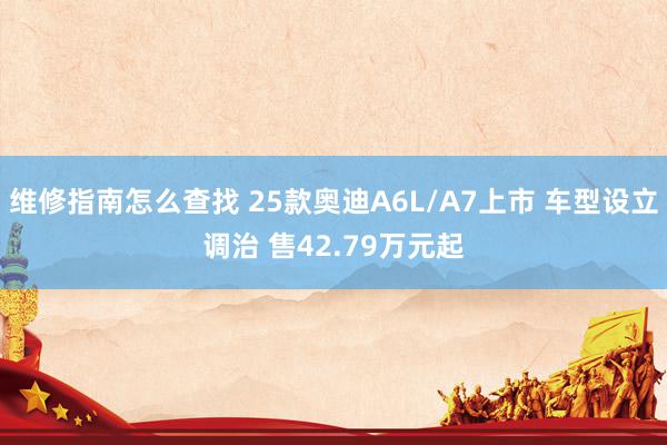 维修指南怎么查找 25款奥迪A6L/A7上市 车型设立调治 售42.79万元起