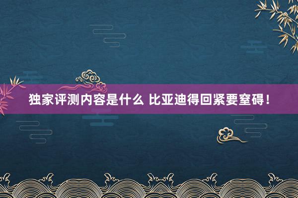 独家评测内容是什么 比亚迪得回紧要窒碍！