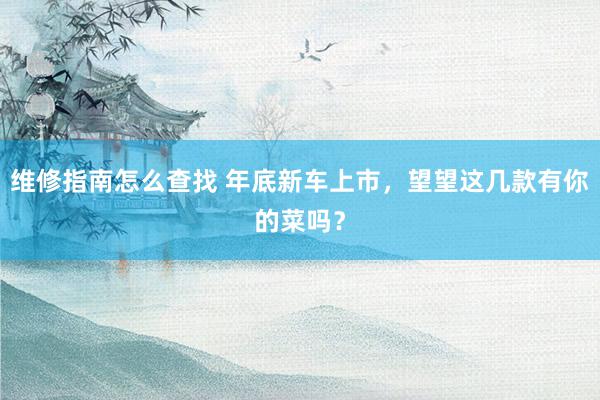 维修指南怎么查找 年底新车上市，望望这几款有你的菜吗？