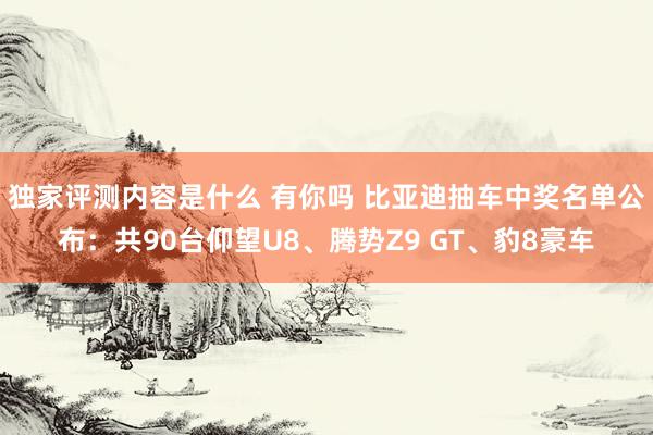 独家评测内容是什么 有你吗 比亚迪抽车中奖名单公布：共90台仰望U8、腾势Z9 GT、豹8豪车