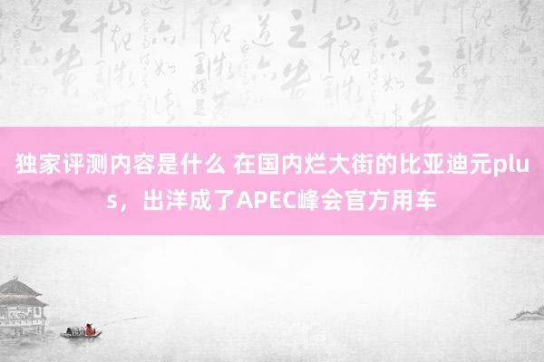 独家评测内容是什么 在国内烂大街的比亚迪元plus，出洋成了APEC峰会官方用车