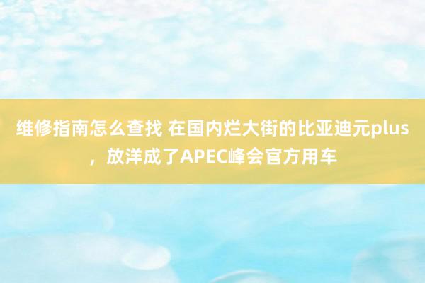 维修指南怎么查找 在国内烂大街的比亚迪元plus，放洋成了APEC峰会官方用车