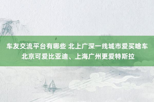 车友交流平台有哪些 北上广深一线城市爱买啥车 北京可爱比亚迪、上海广州更爱特斯拉