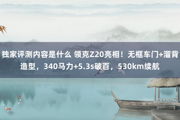 独家评测内容是什么 领克Z20亮相！无框车门+溜背造型，340马力+5.3s破百，530km续航