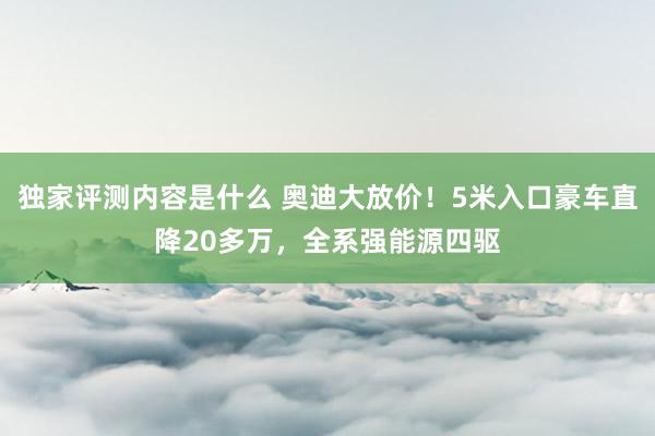 独家评测内容是什么 奥迪大放价！5米入口豪车直降20多万，全系强能源四驱