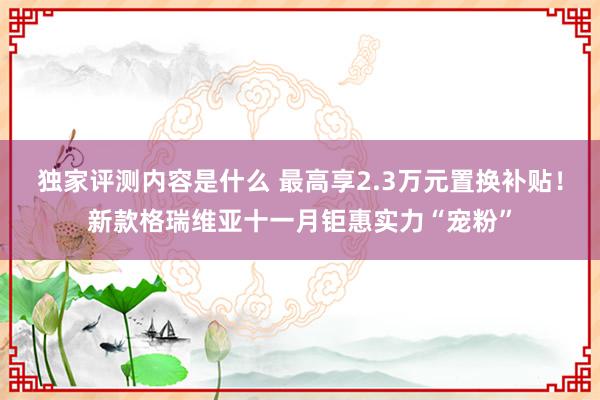 独家评测内容是什么 最高享2.3万元置换补贴！新款格瑞维亚十一月钜惠实力“宠粉”