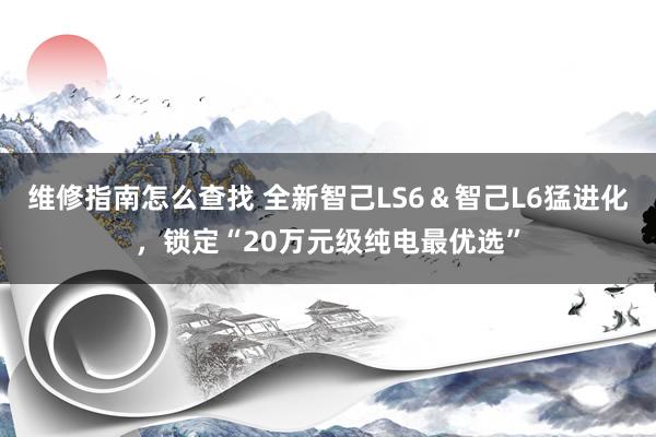 维修指南怎么查找 全新智己LS6＆智己L6猛进化，锁定“20万元级纯电最优选”