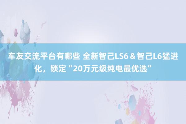 车友交流平台有哪些 全新智己LS6＆智己L6猛进化，锁定“20万元级纯电最优选”