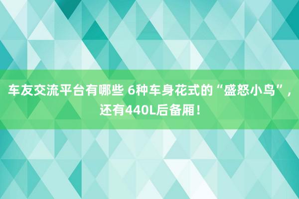 车友交流平台有哪些 6种车身花式的“盛怒小鸟”，还有440L后备厢！