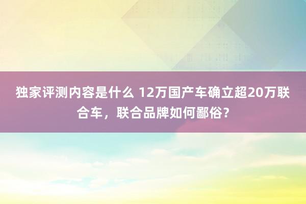 独家评测内容是什么 12万国产车确立超20万联合车，联合品牌如何鄙俗？