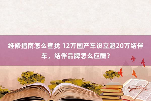 维修指南怎么查找 12万国产车设立超20万结伴车，结伴品牌怎么应酬？