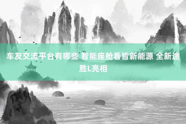 车友交流平台有哪些 智能座舱看皆新能源 全新途胜L亮相