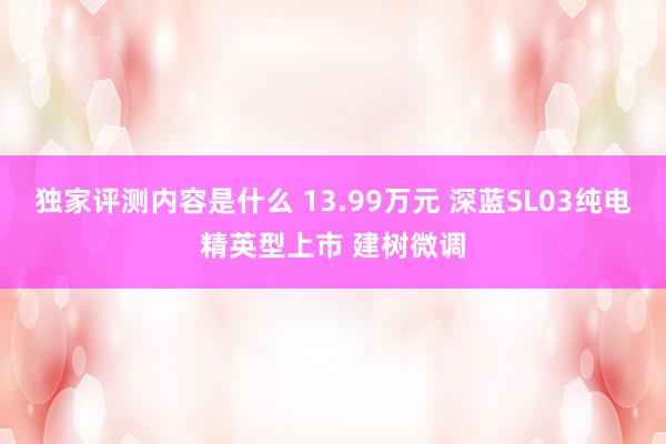 独家评测内容是什么 13.99万元 深蓝SL03纯电精英型上市 建树微调