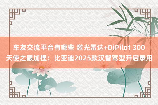 车友交流平台有哪些 激光雷达+DiPilot 300天使之眼加捏：比亚迪2025款汉智驾型开启录用