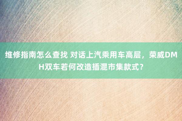 维修指南怎么查找 对话上汽乘用车高层，荣威DMH双车若何改造插混市集款式？