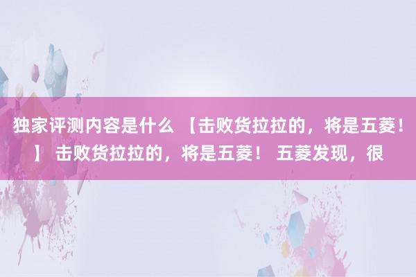 独家评测内容是什么 【击败货拉拉的，将是五菱！】 击败货拉拉的，将是五菱！ 五菱发现，很