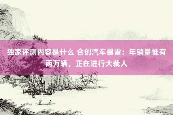 独家评测内容是什么 合创汽车暴雷：年销量惟有两万辆，正在进行大裁人