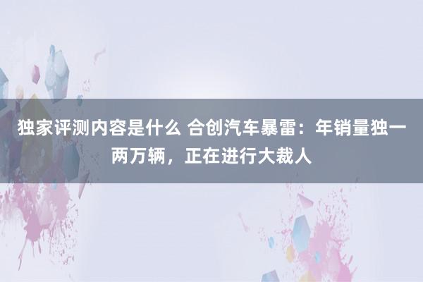 独家评测内容是什么 合创汽车暴雷：年销量独一两万辆，正在进行大裁人