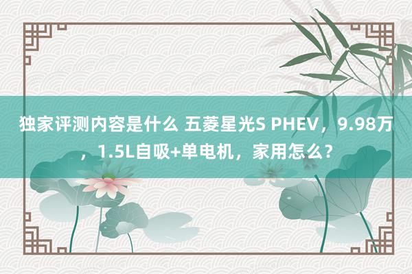 独家评测内容是什么 五菱星光S PHEV，9.98万，1.5L自吸+单电机，家用怎么？