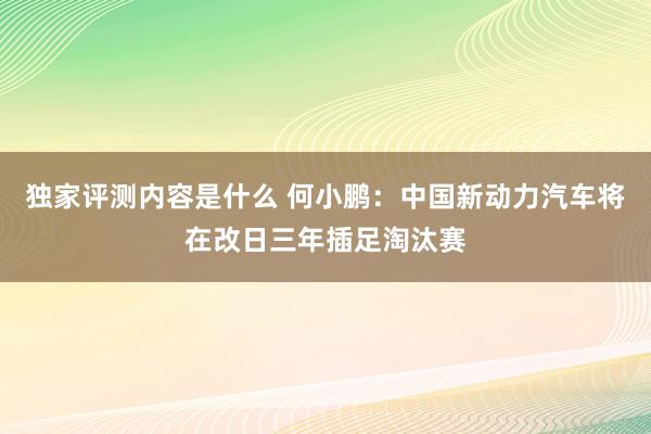 独家评测内容是什么 何小鹏：中国新动力汽车将在改日三年插足淘汰赛