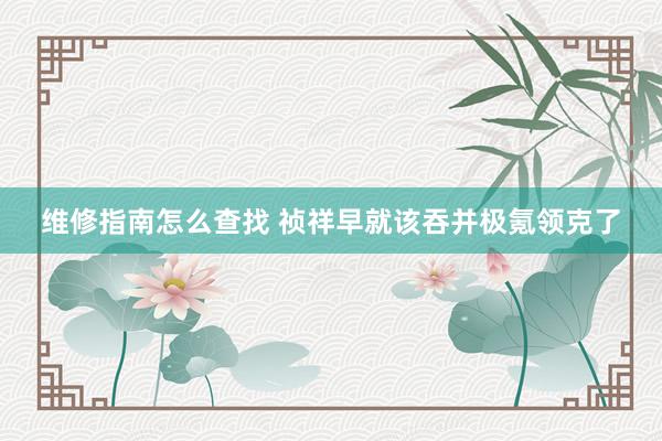 维修指南怎么查找 祯祥早就该吞并极氪领克了