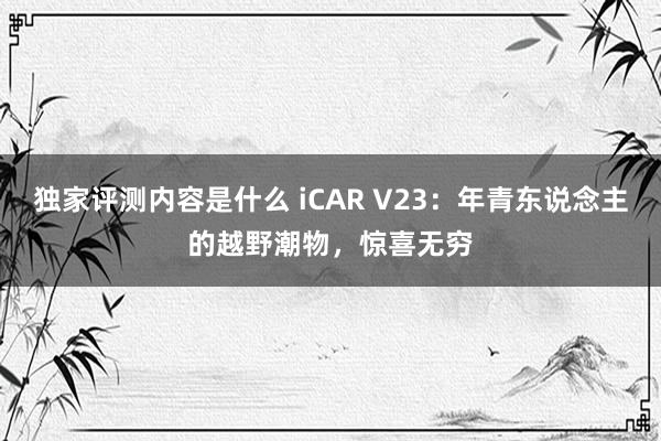 独家评测内容是什么 iCAR V23：年青东说念主的越野潮物，惊喜无穷