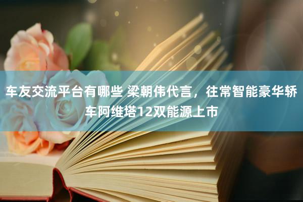 车友交流平台有哪些 梁朝伟代言，往常智能豪华轿车阿维塔12双能源上市