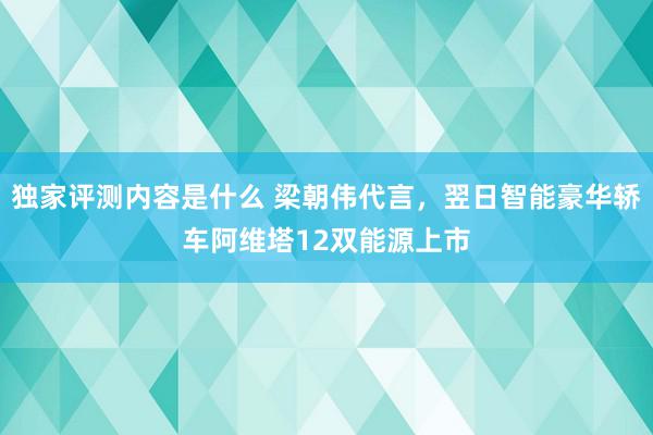 独家评测内容是什么 梁朝伟代言，翌日智能豪华轿车阿维塔12双能源上市