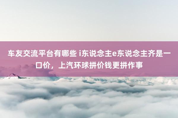 车友交流平台有哪些 i东说念主e东说念主齐是一口价，上汽环球拼价钱更拼作事