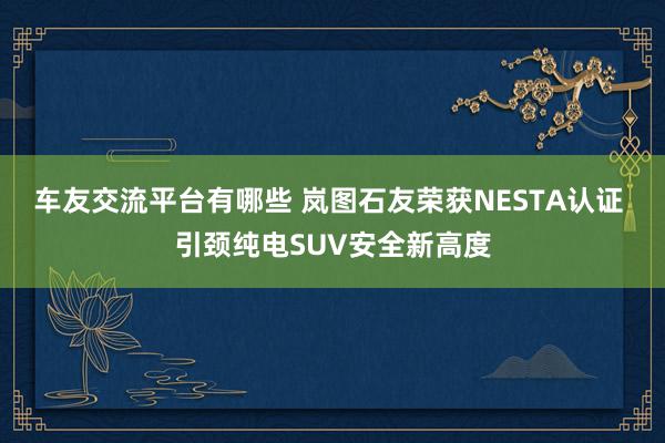 车友交流平台有哪些 岚图石友荣获NESTA认证 引颈纯电SUV安全新高度