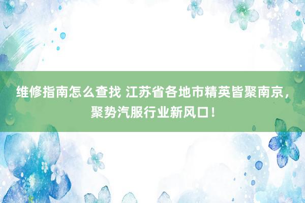 维修指南怎么查找 江苏省各地市精英皆聚南京，聚势汽服行业新风口！