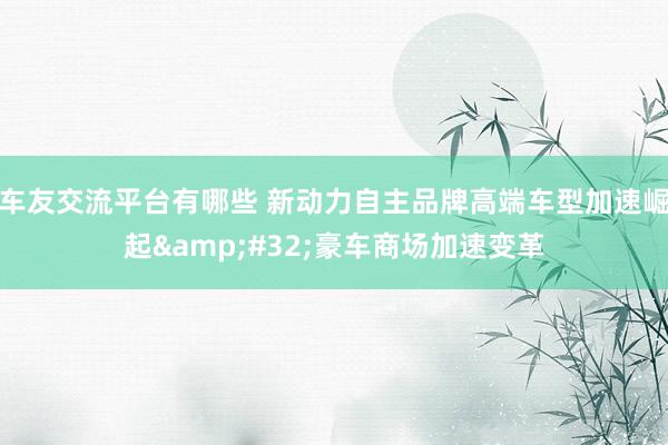 车友交流平台有哪些 新动力自主品牌高端车型加速崛起&#32;豪车商场加速变革