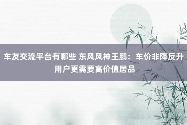 车友交流平台有哪些 东风风神王鹏：车价非降反升 用户更需要高价值居品