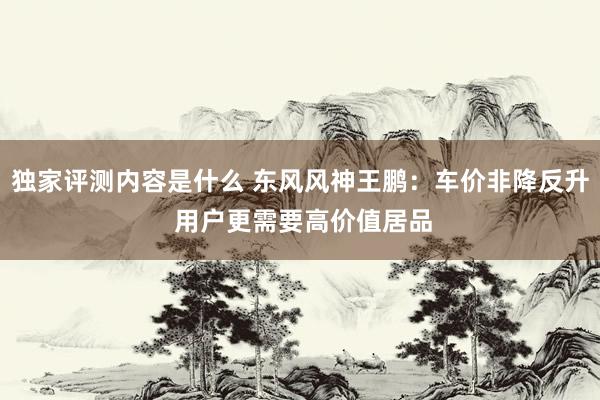 独家评测内容是什么 东风风神王鹏：车价非降反升 用户更需要高价值居品