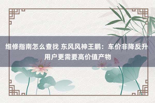 维修指南怎么查找 东风风神王鹏：车价非降反升 用户更需要高价值产物