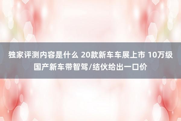 独家评测内容是什么 20款新车车展上市 10万级国产新车带智驾/结伙给出一口价