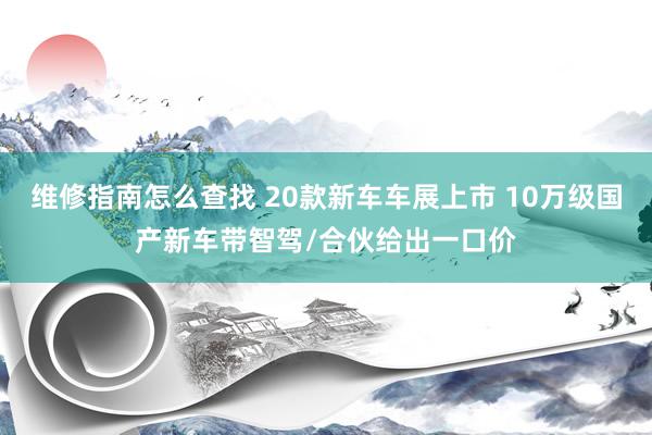 维修指南怎么查找 20款新车车展上市 10万级国产新车带智驾/合伙给出一口价