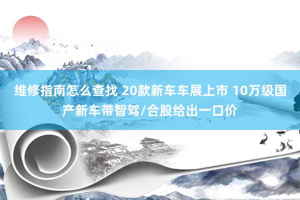 维修指南怎么查找 20款新车车展上市 10万级国产新车带智驾/合股给出一口价