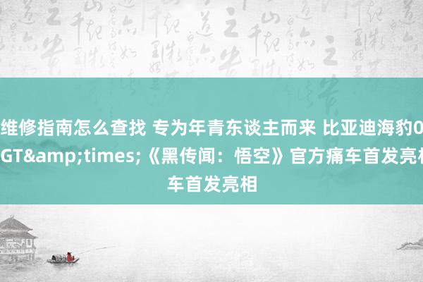 维修指南怎么查找 专为年青东谈主而来 比亚迪海豹06GT&times;《黑传闻：悟空》官方痛车首发亮相