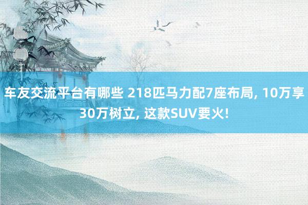 车友交流平台有哪些 218匹马力配7座布局, 10万享30万树立, 这款SUV要火!