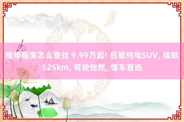 维修指南怎么查找 9.99万起! 后驱纯电SUV, 续航525km, 驾驶怡然, 懂车首选