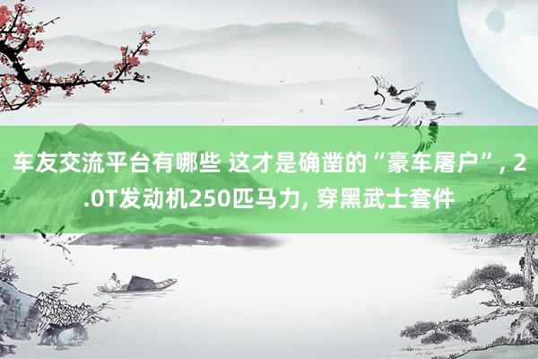 车友交流平台有哪些 这才是确凿的“豪车屠户”, 2.0T发动机250匹马力, 穿黑武士套件